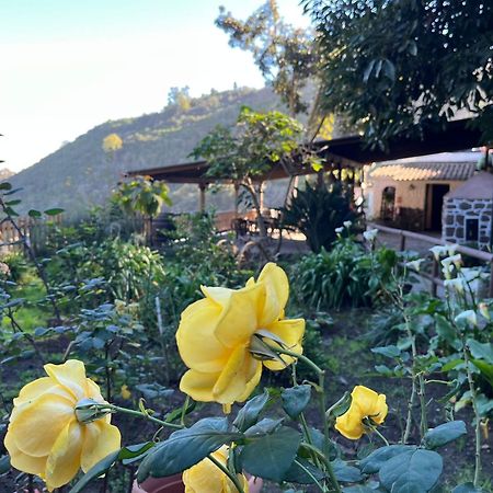 Finca Los Arcos Del Laurel Moya  Kültér fotó