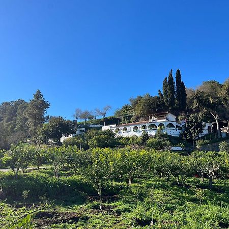 Finca Los Arcos Del Laurel Moya  Kültér fotó