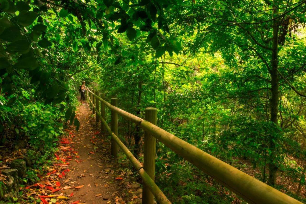 Finca Los Arcos Del Laurel Moya  Kültér fotó