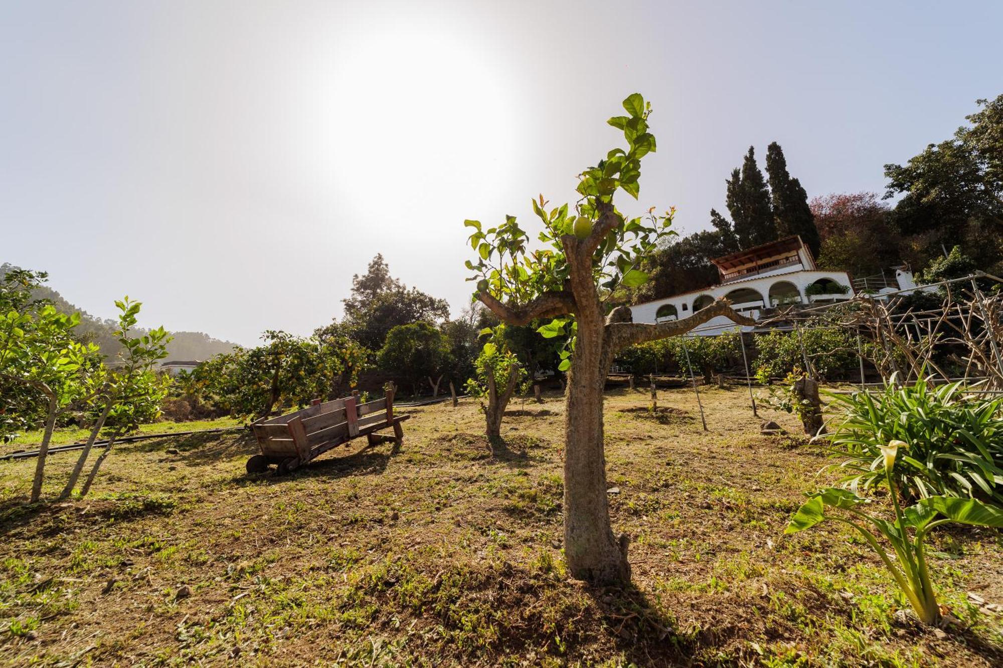 Finca Los Arcos Del Laurel Moya  Kültér fotó
