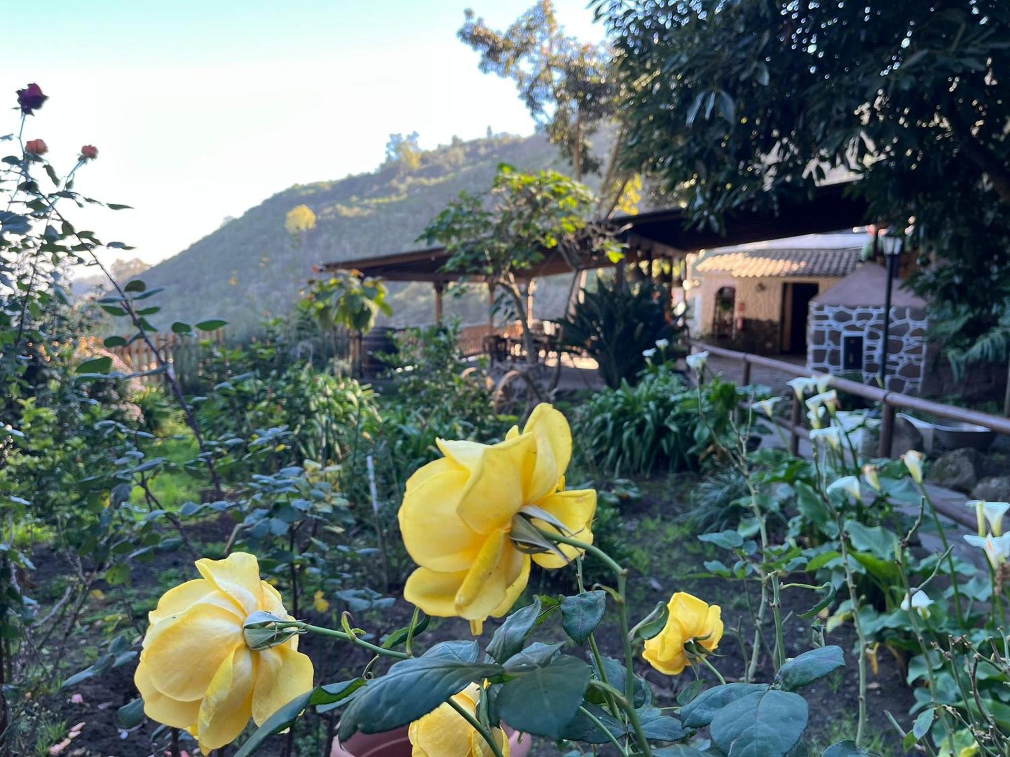 Finca Los Arcos Del Laurel Moya  Kültér fotó