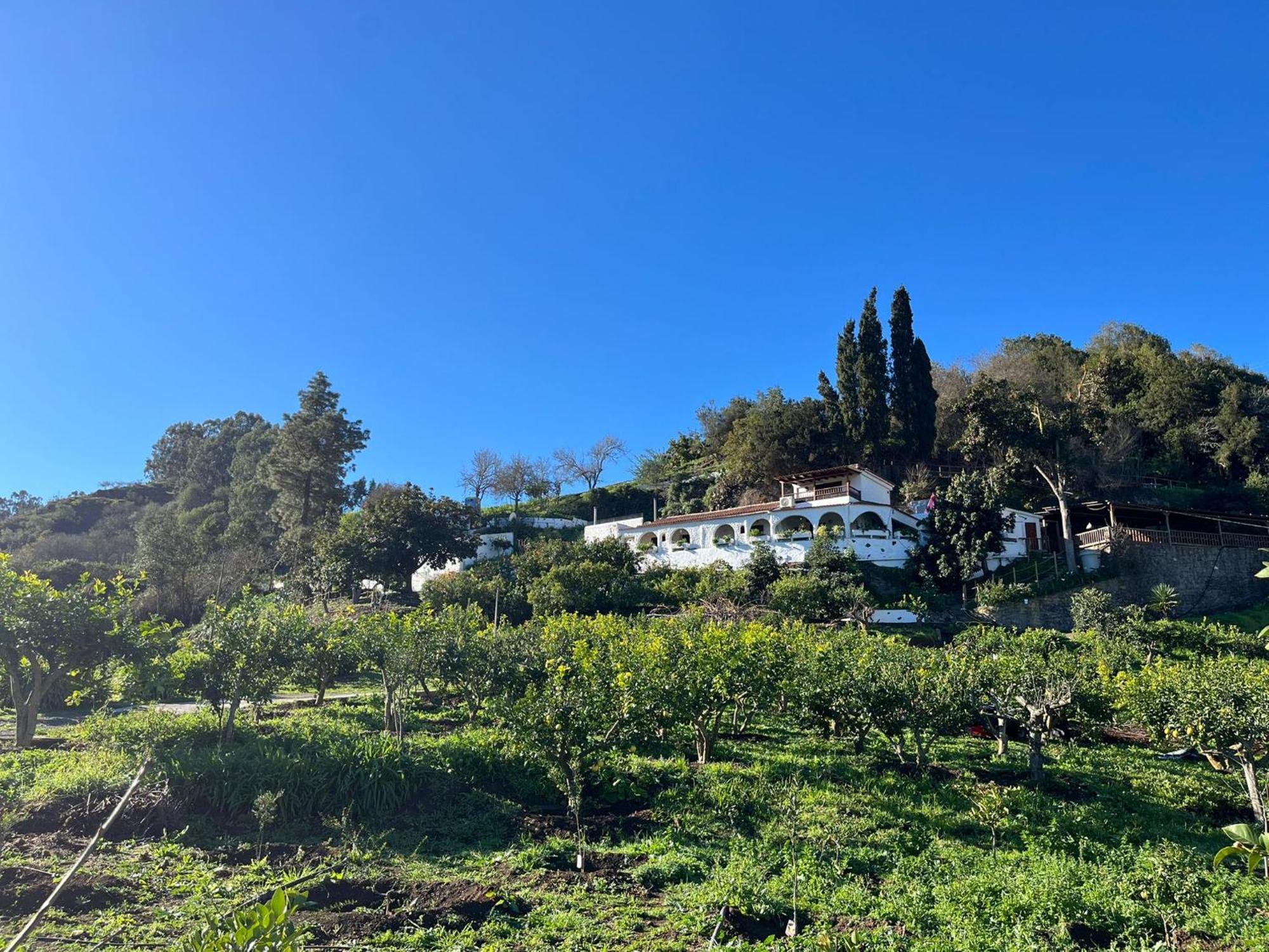 Finca Los Arcos Del Laurel Moya  Kültér fotó