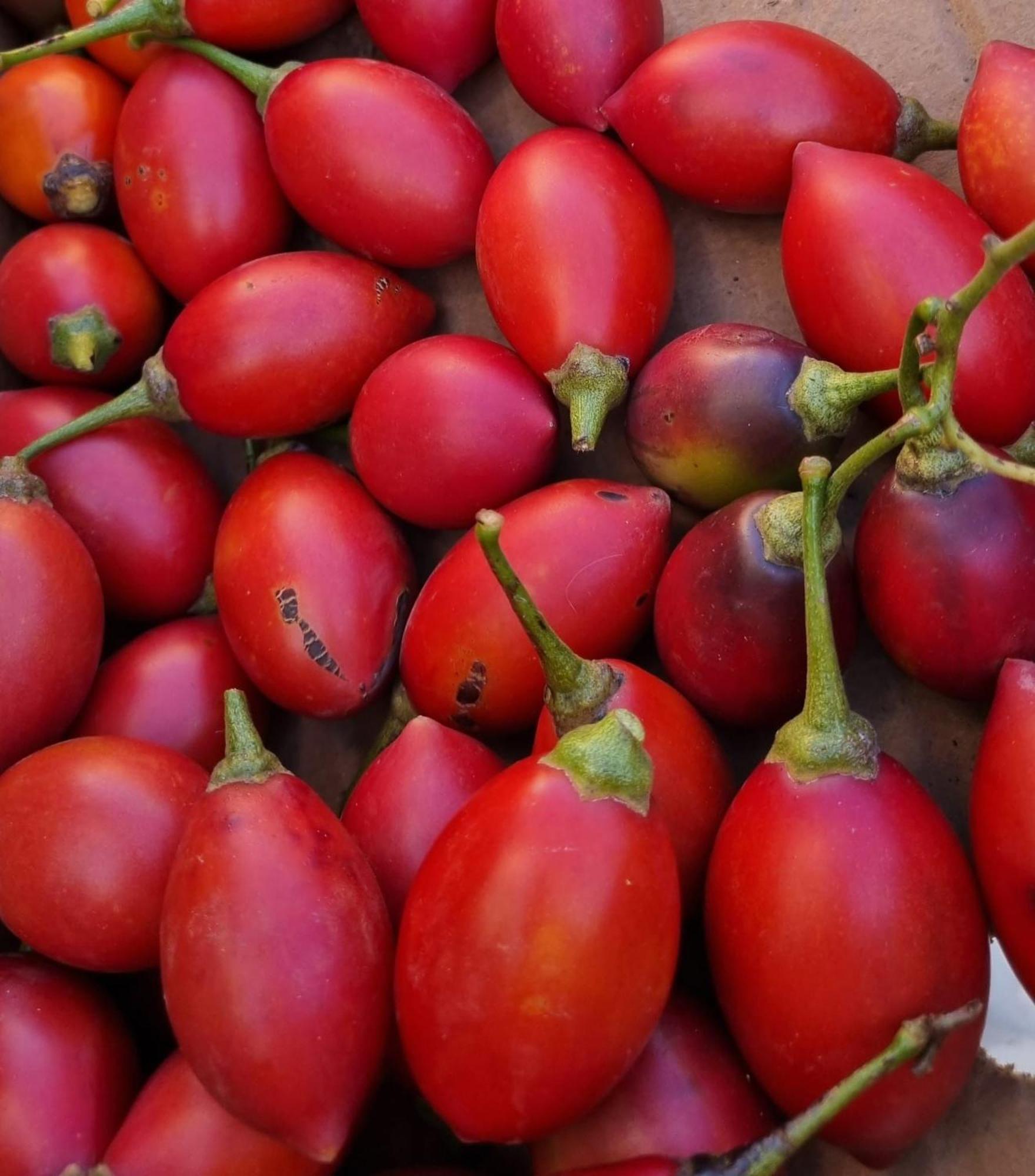 Finca Los Arcos Del Laurel Moya  Kültér fotó