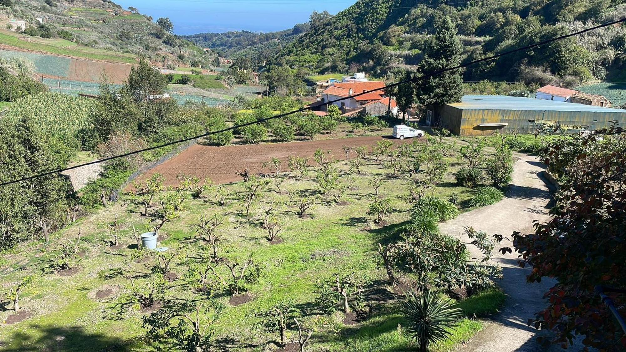 Finca Los Arcos Del Laurel Moya  Kültér fotó