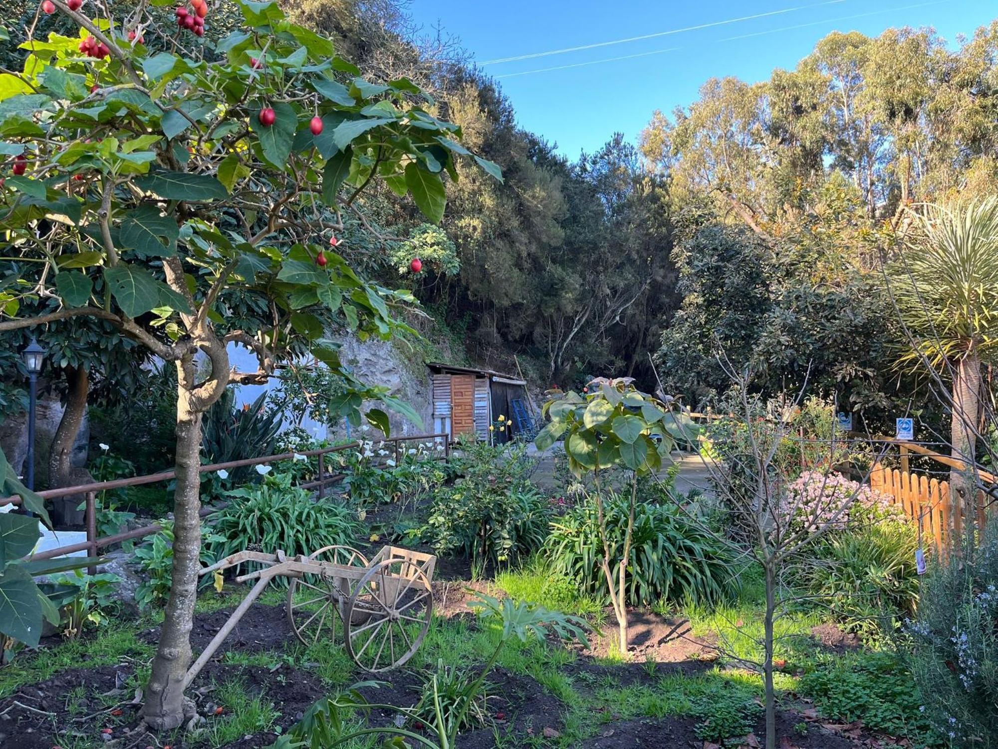 Finca Los Arcos Del Laurel Moya  Kültér fotó