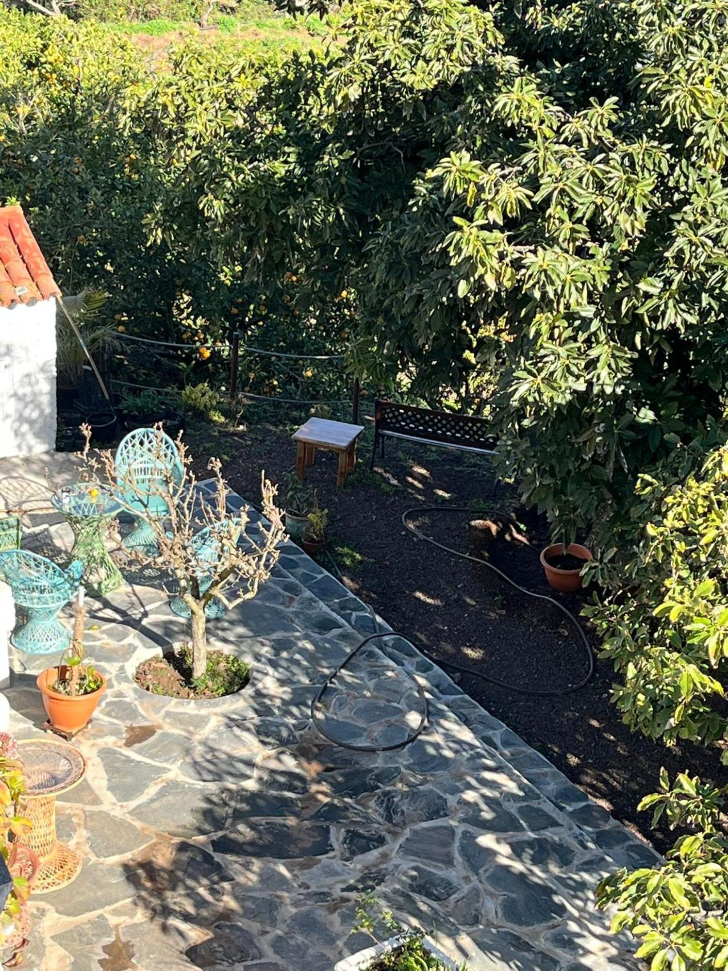Finca Los Arcos Del Laurel Moya  Kültér fotó