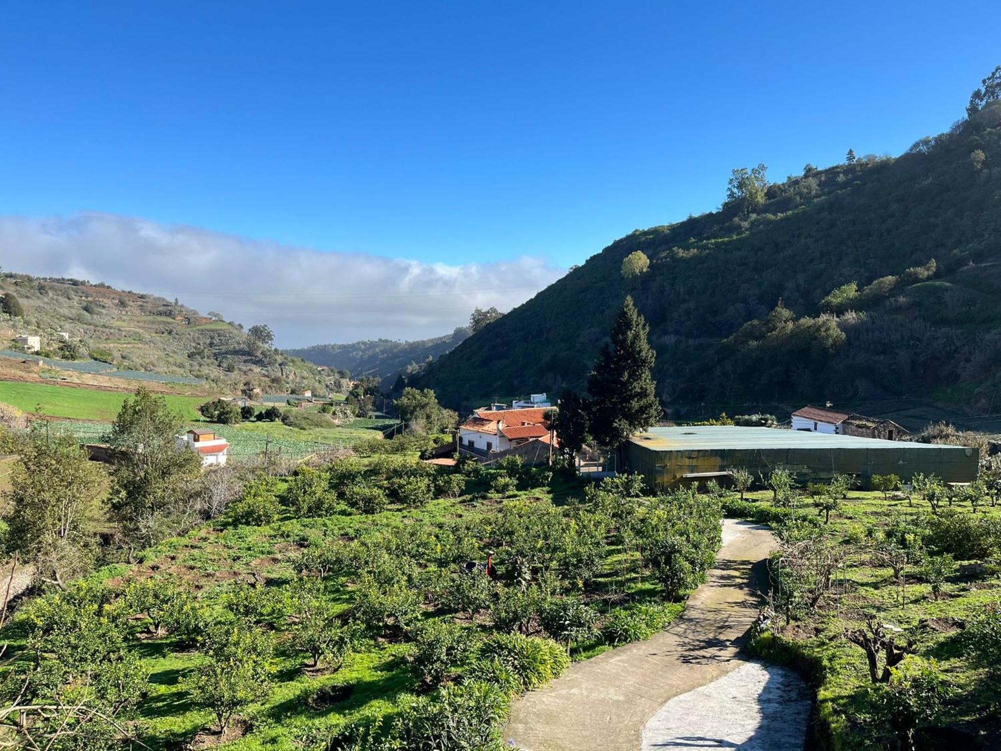 Finca Los Arcos Del Laurel Moya  Kültér fotó