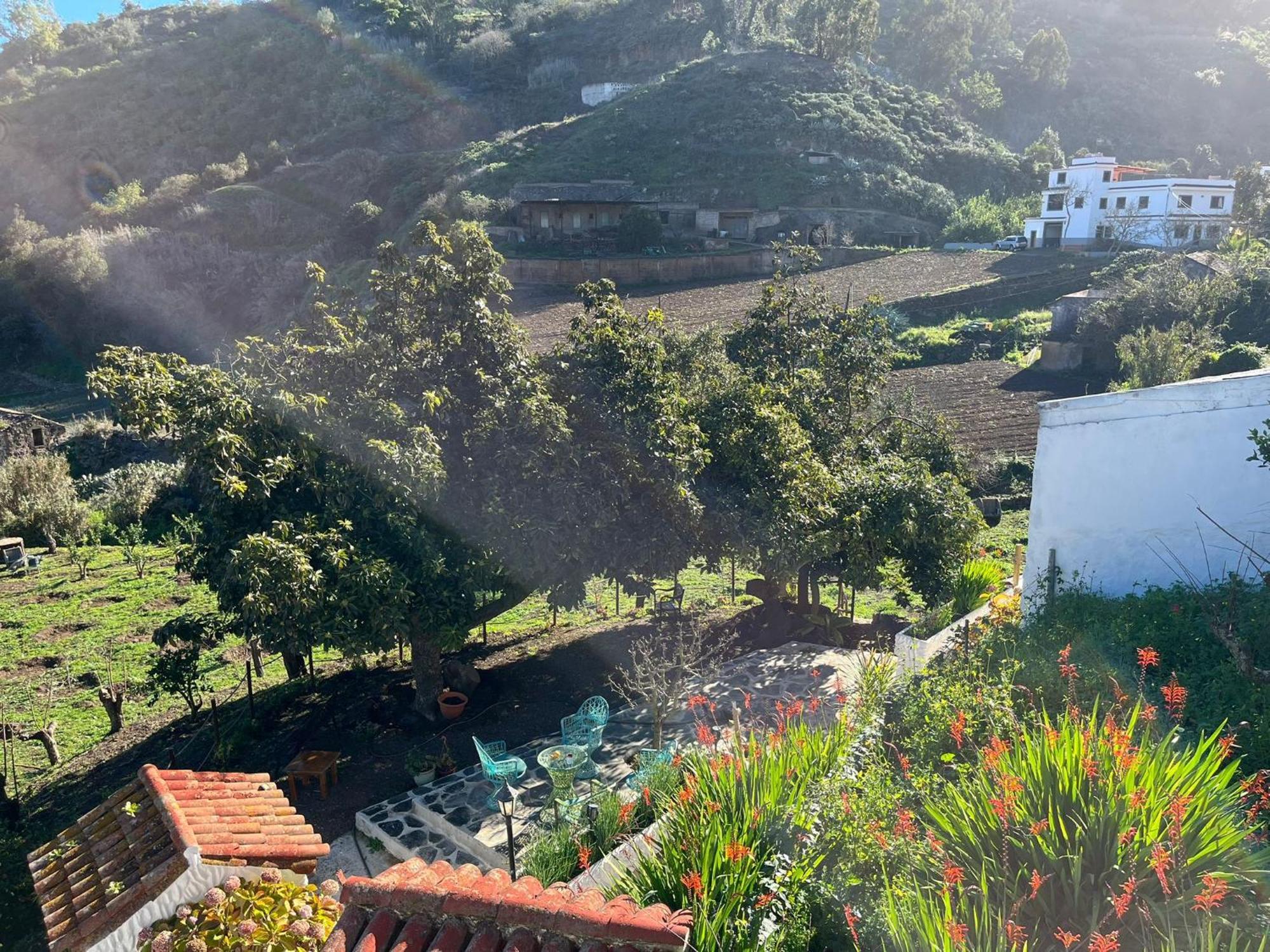 Finca Los Arcos Del Laurel Moya  Kültér fotó